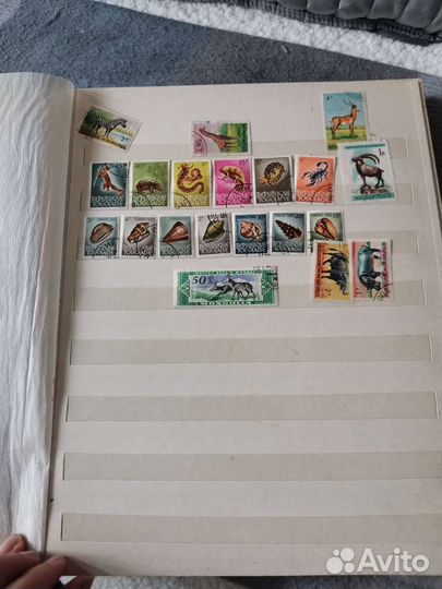 Почтовые марки. Коллекционный альбом