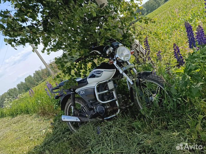 Alpha RX11