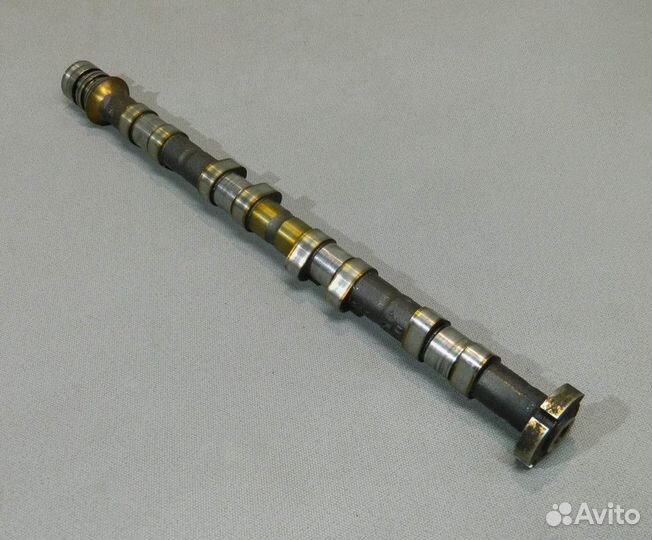 Распредвал выпускной Captiva 2.4 LE9