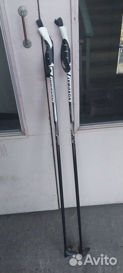 Лыжные палки