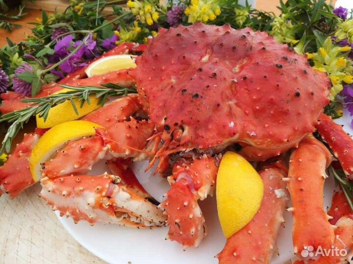 Ланч на Тихом океане. Туры Камчатка