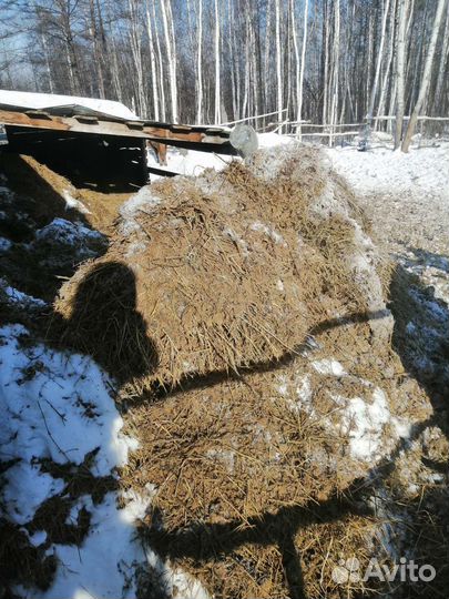 Навоз перегной коровий только