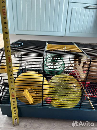 Клетка для джунгарского хомяка