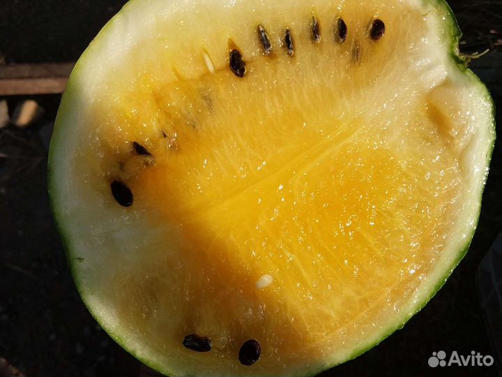 Арбуз