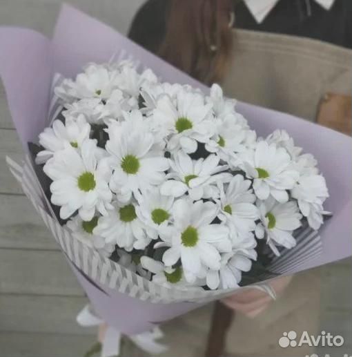 Хризантемы Букет хризантем. Цветы