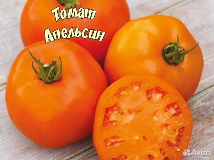 Рассада помидор, перца, капусты
