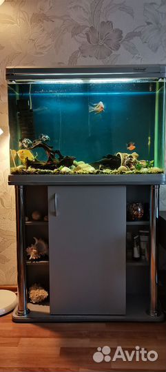 Аквариум