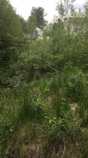 Участок 7,5 сот. (ИЖС)