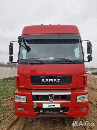 КамАЗ 5490 NEO, 2017