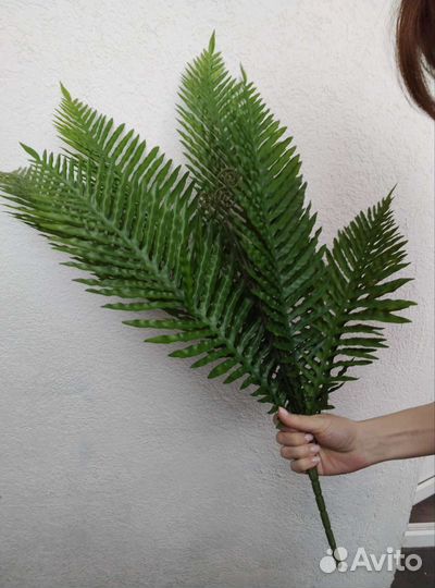 Пальма папоротник декоративная ветка