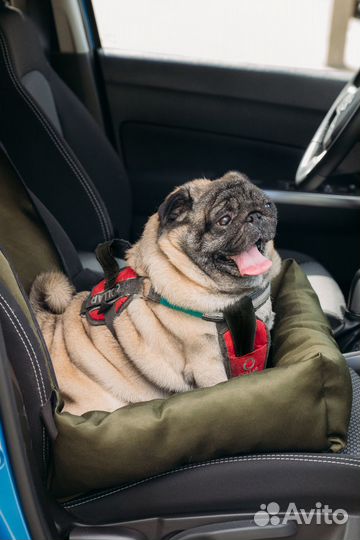 Автокресло для перевозки собак
