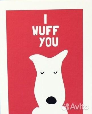 Гостиница для собак / передержка собак