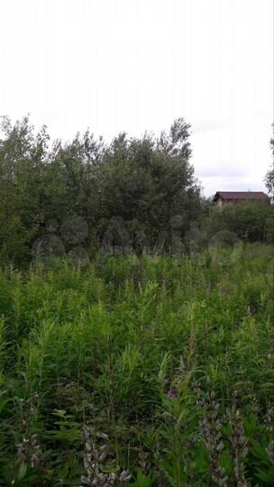 Участок 6 сот. (СНТ, ДНП)