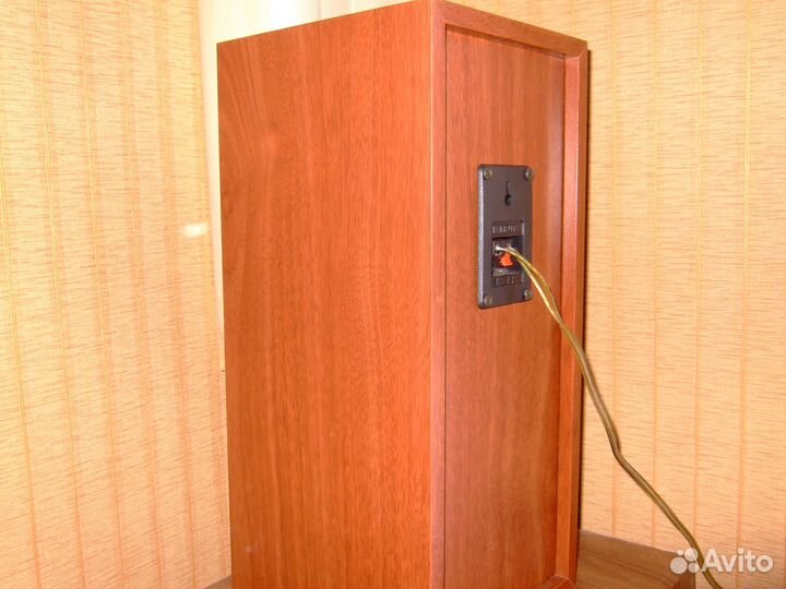 Акустическая система canton + fountek