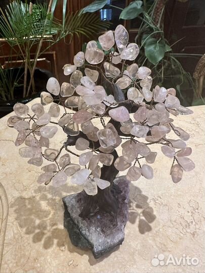 Дерево из камня