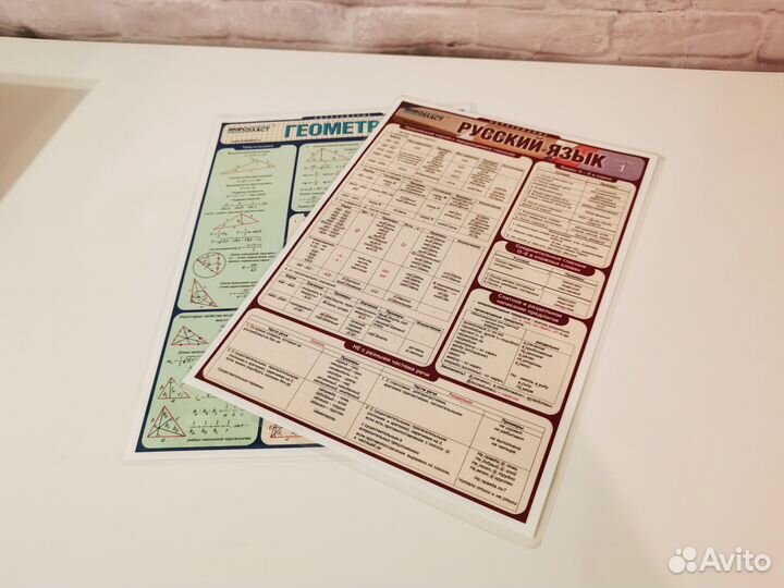 Шпаргалки по рус языку и геометрии