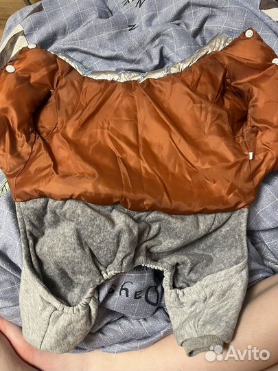 Комбинезон для собаки