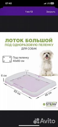 Лоток для собак