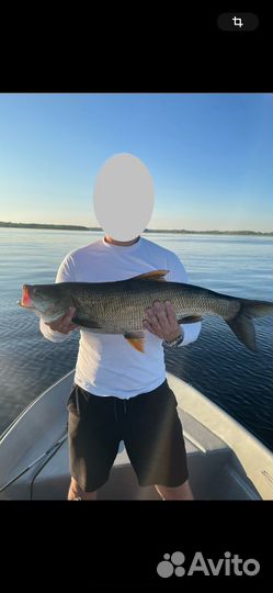 Возьму на джиговую рыбалку на лодке