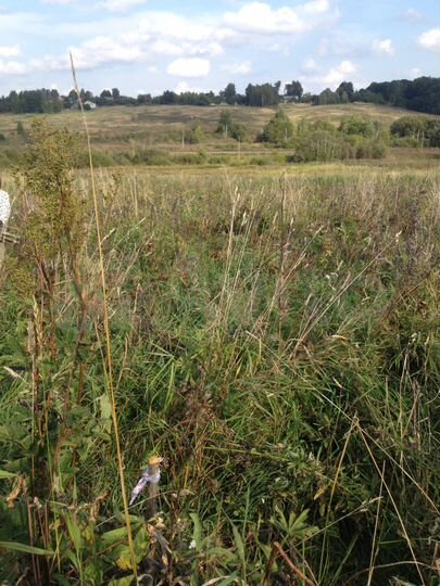 Участок 10 сот. (ИЖС)