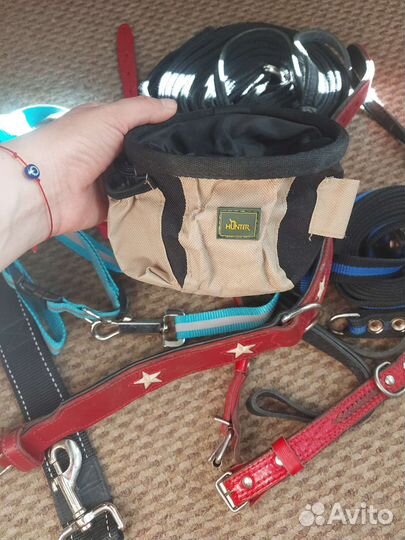 Ошейник для собак. Поводок. Шлейка. Намордник