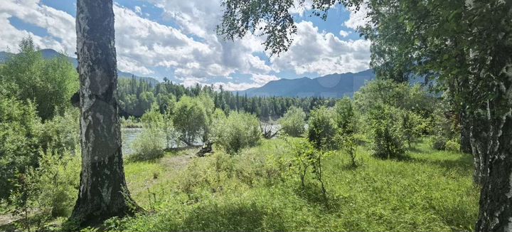 Участок 2,5 га (СНТ, ДНП)