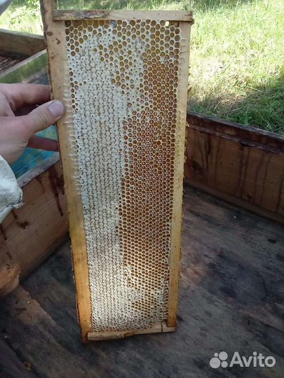 Башкирский Мёд