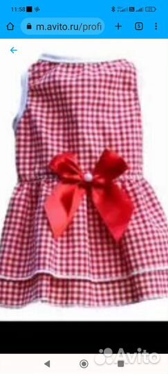 Одежда для собак мелких пород