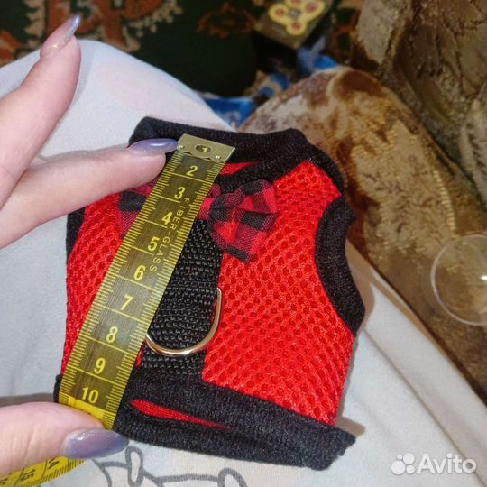 Шлейка с поводком для хорька