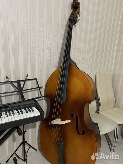 Музыкальные инструмент