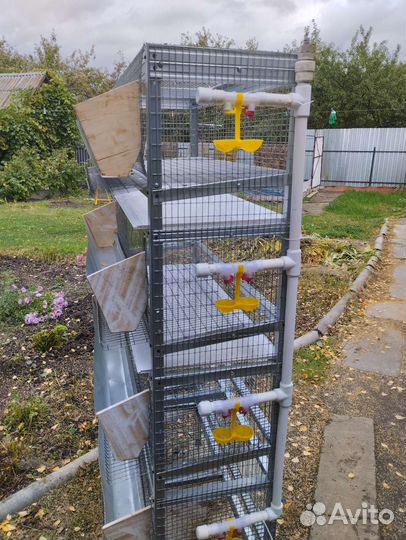 Клетки для перепелов