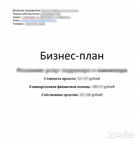 Бизнес план для социального контракта