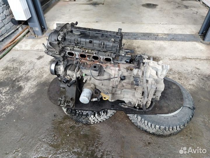 Двигатель pnda ford focus 3 1.6 125лс