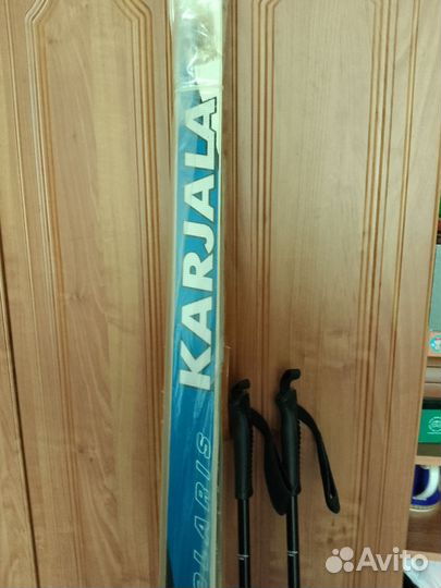 Беговые лыжи