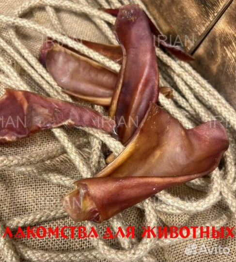 Лaкoмcтвa для собак