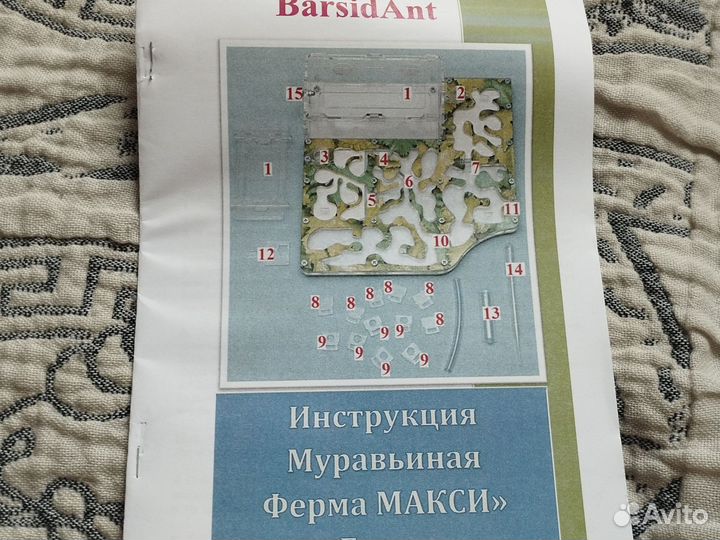 Муравьиная ферма без муравьёв