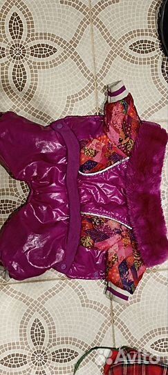 Зимняя одежда для мелких пород собак