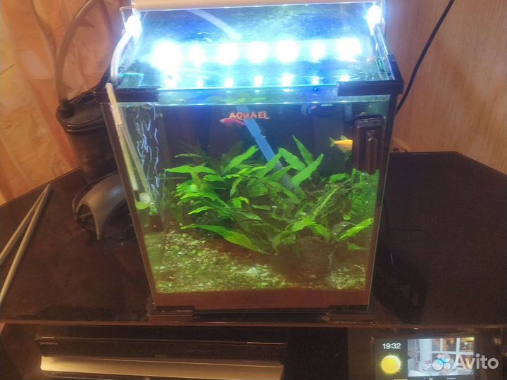 Аквариум