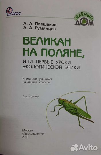 Великан на поляне Плешаков, Румянцев