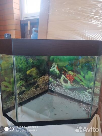 Продам аквариумы