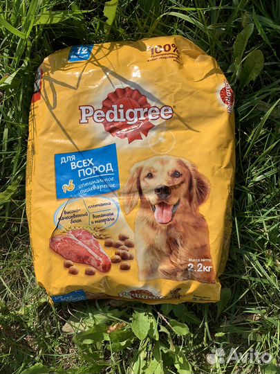 Корм для собак