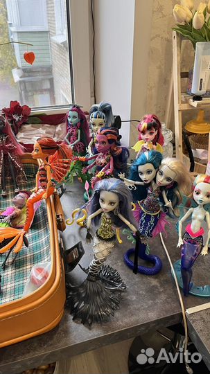 Куклы монстр хай