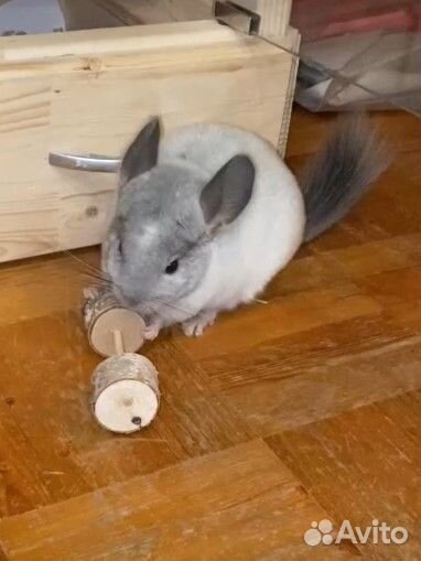 Игрушка- грызунок