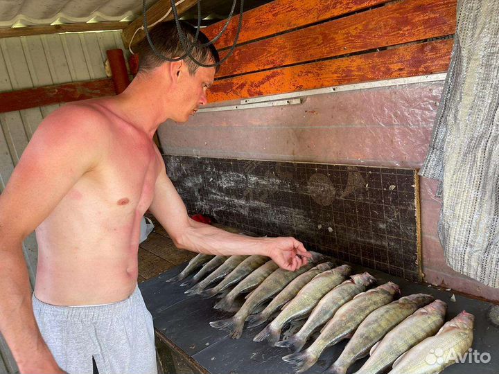 Рыбалка В астрахани