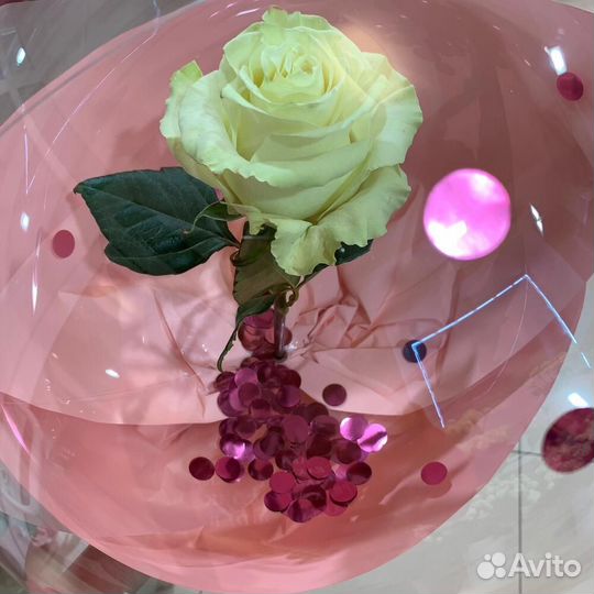 Роза в шаре / роза в воздушном шаре