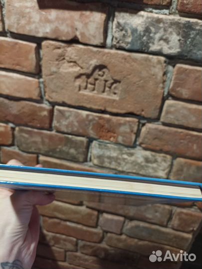 Синяя птица Морис Метерлинк