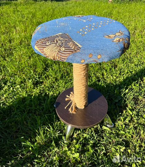 Когтеточка