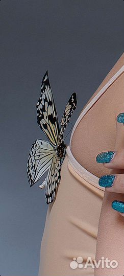 Продам бабочек