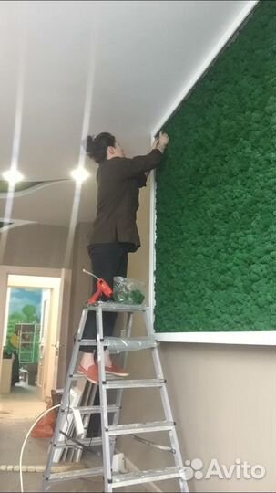 Фитопанно. Фитостена/ стена со мхом