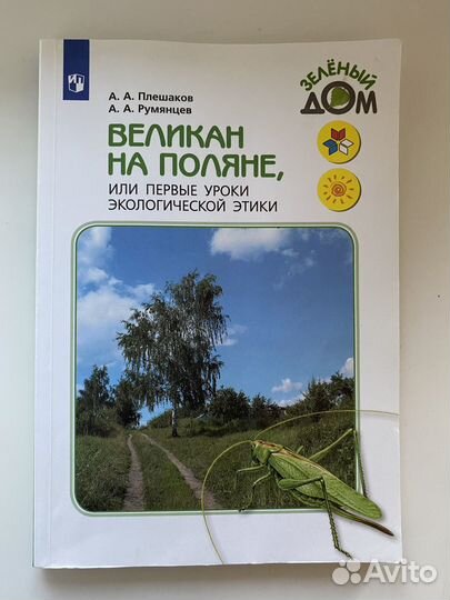 Великан на поляне А А Плешаков
